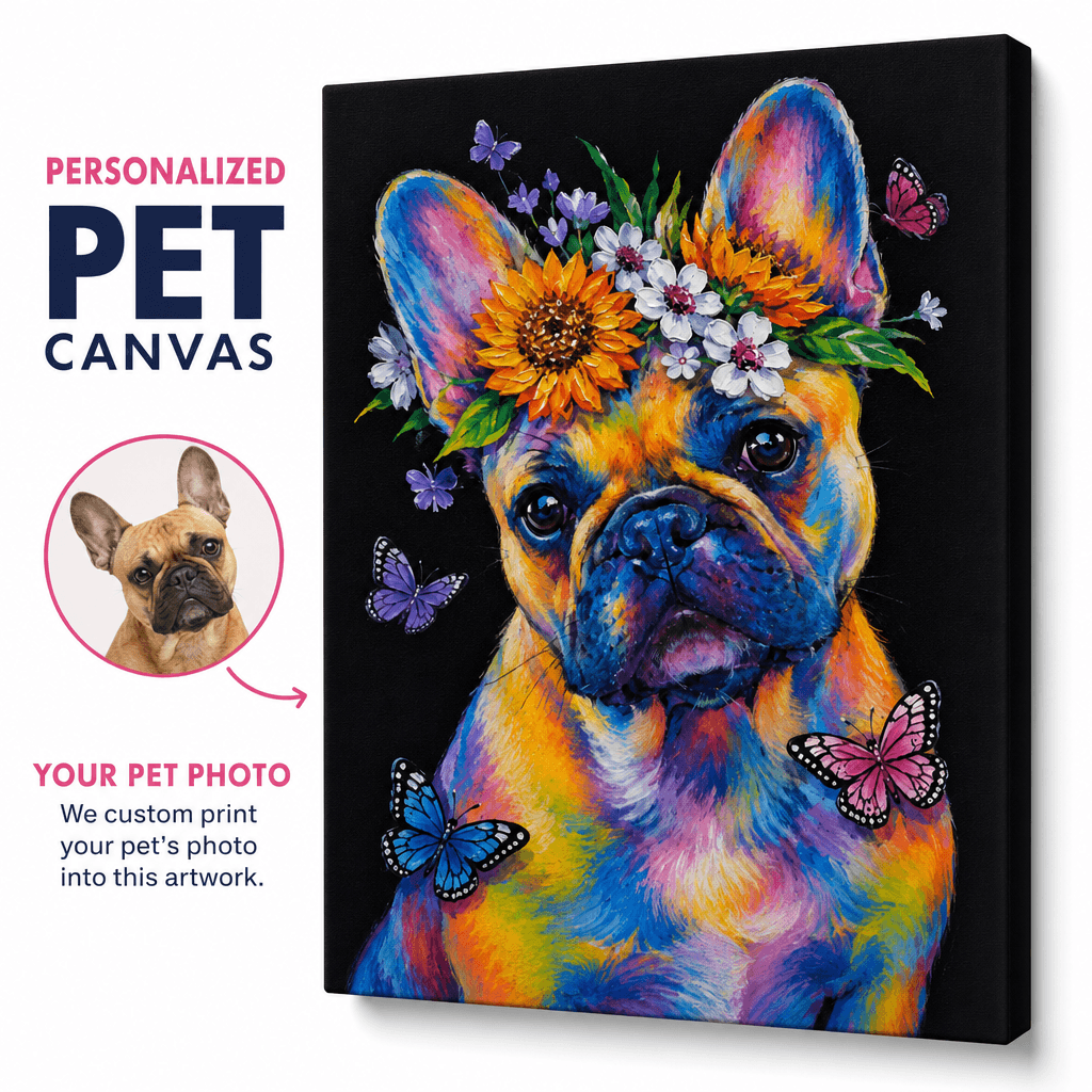 Colorful Pet
